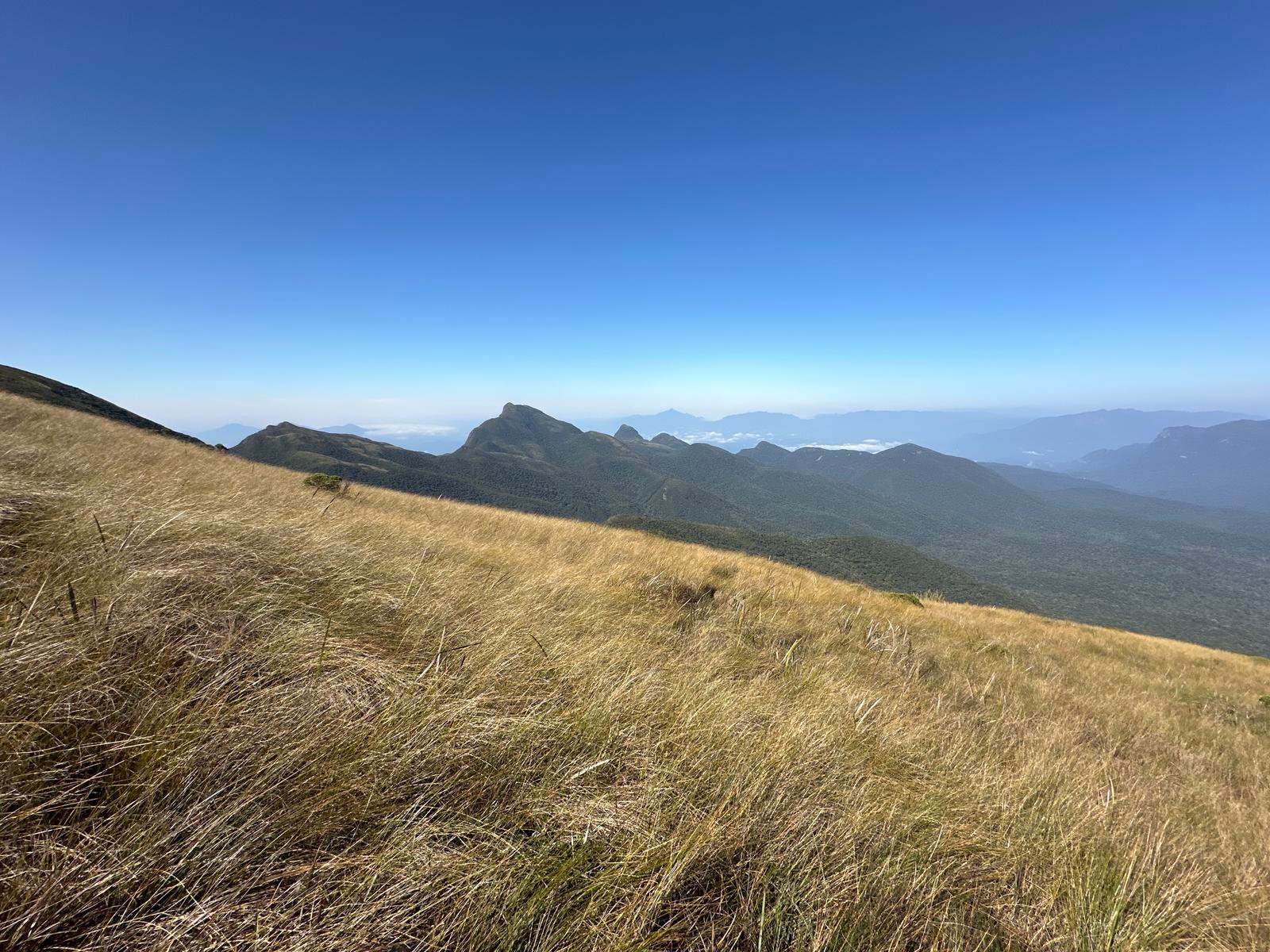 PICO TUCUM