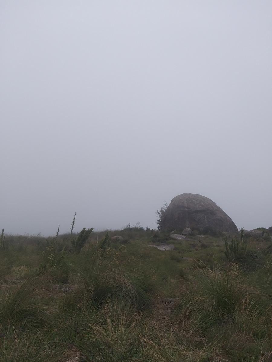 PICO CAMAPUÃ