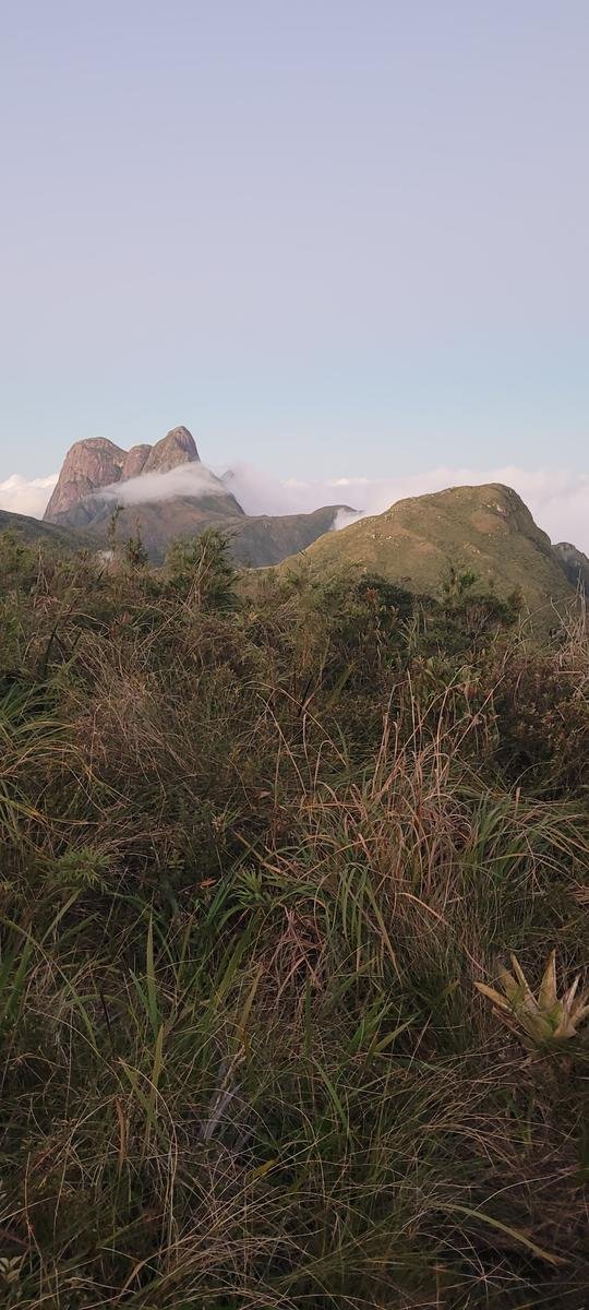 PICO CERRO VERDE