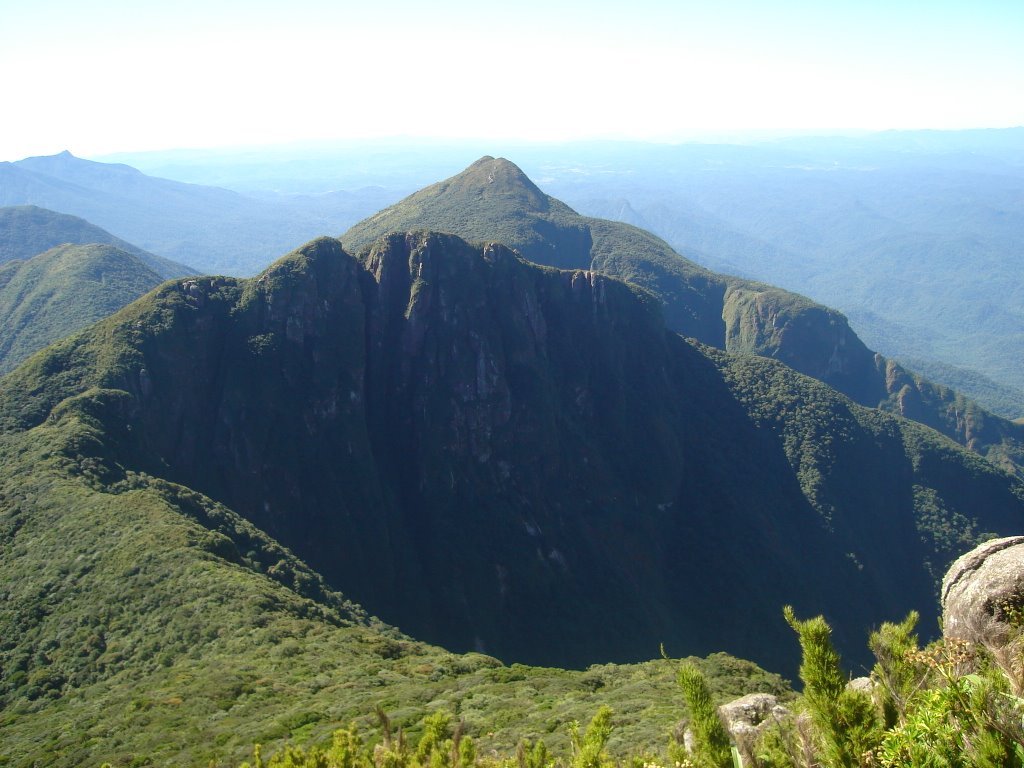 PICO TAIPABUÇU