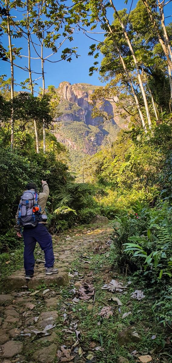 PICO PONTA DO TIGRE