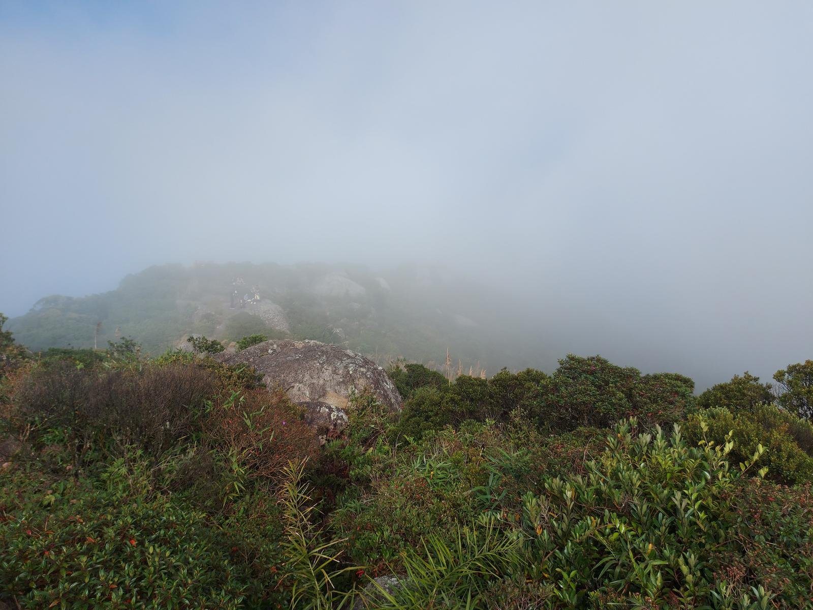 PICO ANHANGAVA (BAITACA)