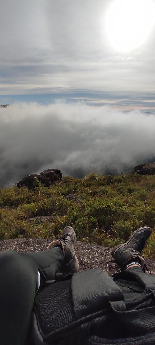 PICO PÃO DE LOTH