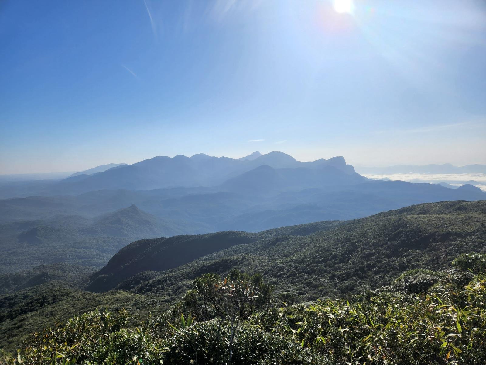 PICO MÃE CATIRA
