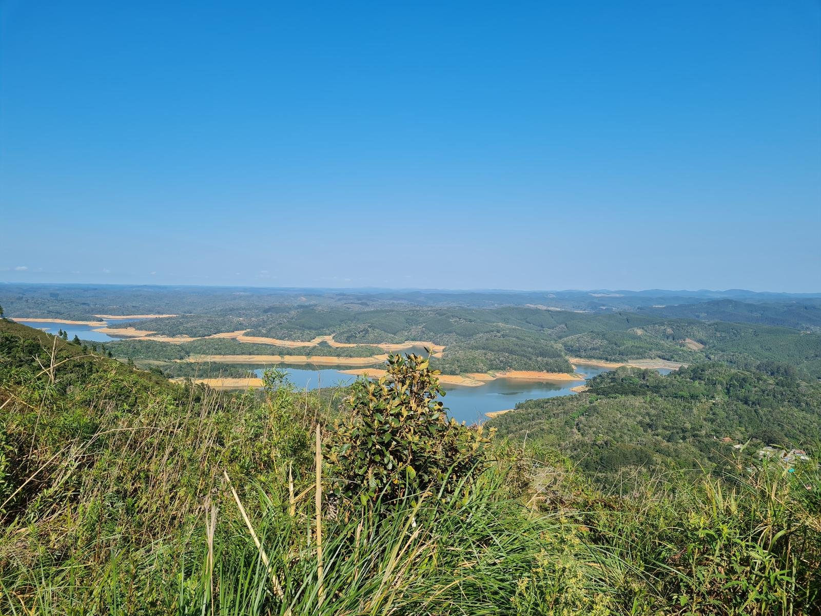PICO CAPIVARI MIRIM