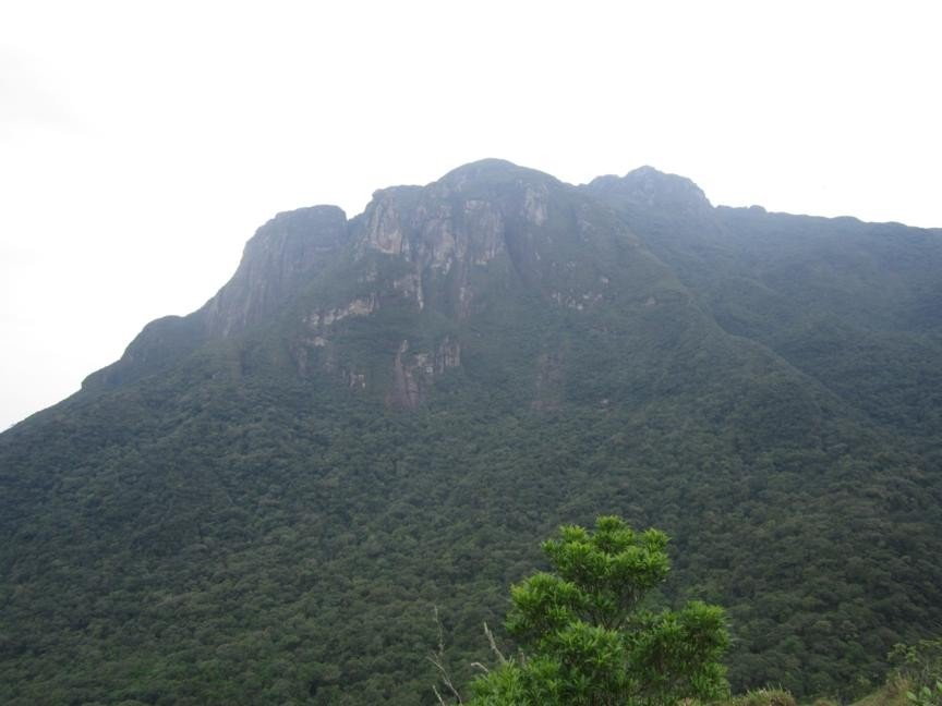 PICO MORUMBI