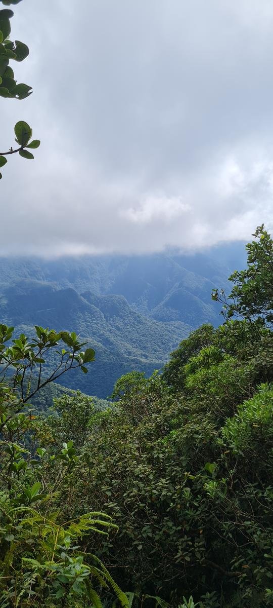PICO MORUMBI